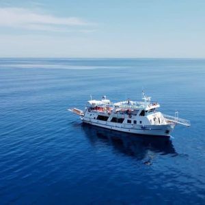 Skopelos Alonissos cruise from Skiathos with chapel, towns, and marine park views