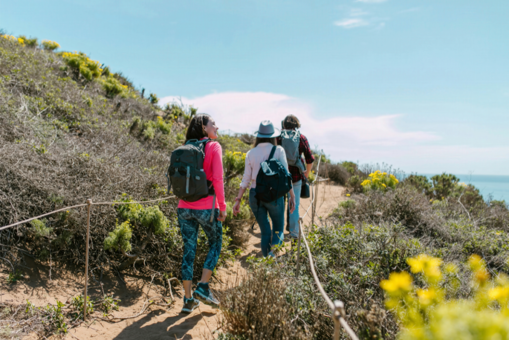 alternative tourism in Skiathos with hiking and eco tours through nature trails