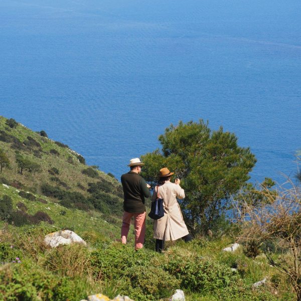 eco tours Skiathos with local guide exploring coastal nature views